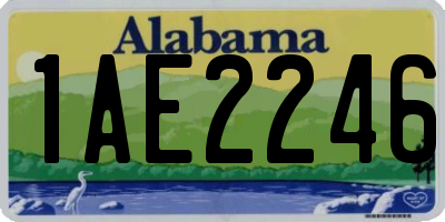 AL license plate 1AE2246