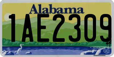 AL license plate 1AE2309
