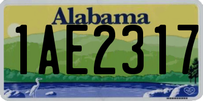 AL license plate 1AE2317
