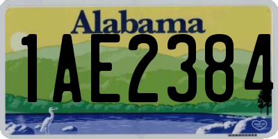 AL license plate 1AE2384
