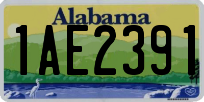 AL license plate 1AE2391