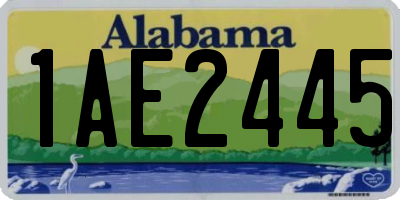 AL license plate 1AE2445