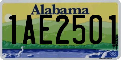 AL license plate 1AE2501