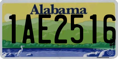 AL license plate 1AE2516