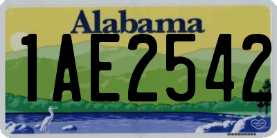 AL license plate 1AE2542