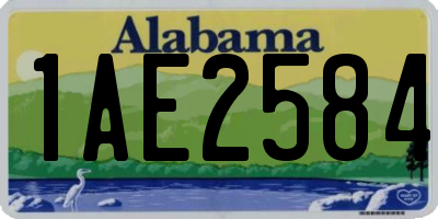 AL license plate 1AE2584