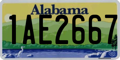 AL license plate 1AE2667