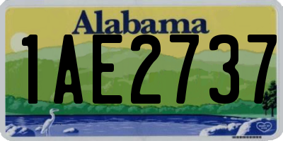AL license plate 1AE2737