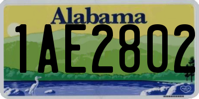 AL license plate 1AE2802