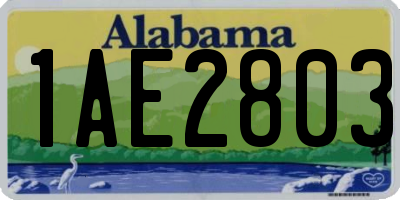 AL license plate 1AE2803