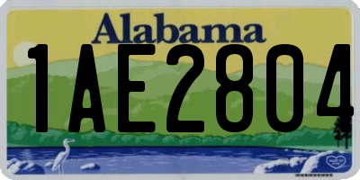 AL license plate 1AE2804