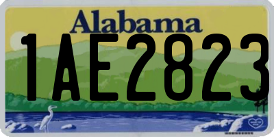 AL license plate 1AE2823