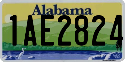 AL license plate 1AE2824