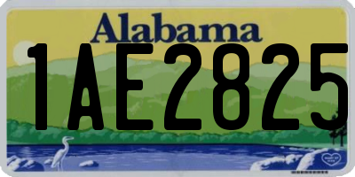 AL license plate 1AE2825