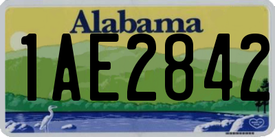 AL license plate 1AE2842