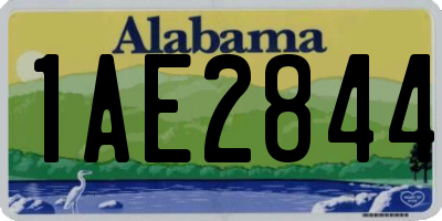 AL license plate 1AE2844