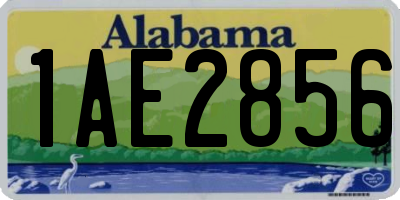 AL license plate 1AE2856