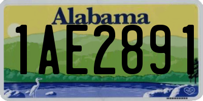 AL license plate 1AE2891