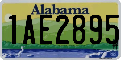 AL license plate 1AE2895