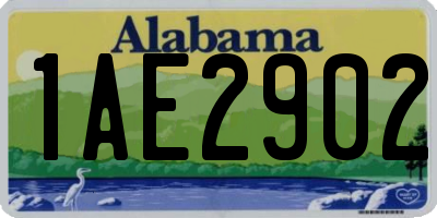 AL license plate 1AE2902