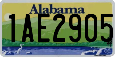 AL license plate 1AE2905