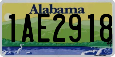 AL license plate 1AE2918