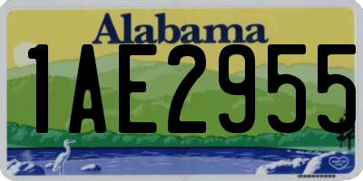 AL license plate 1AE2955