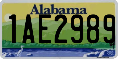 AL license plate 1AE2989