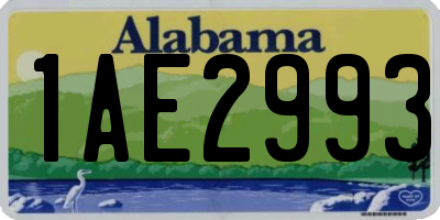 AL license plate 1AE2993