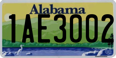 AL license plate 1AE3002