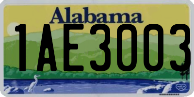 AL license plate 1AE3003