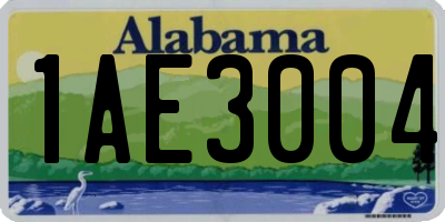 AL license plate 1AE3004
