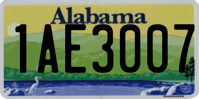 AL license plate 1AE3007