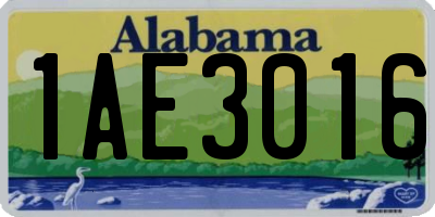 AL license plate 1AE3016