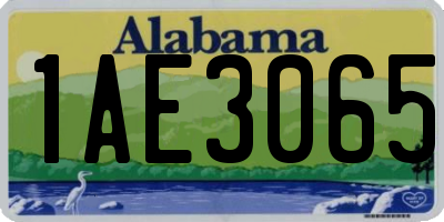 AL license plate 1AE3065