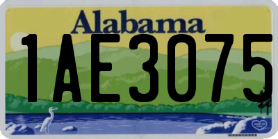 AL license plate 1AE3075
