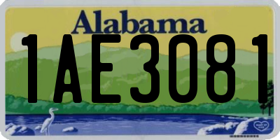 AL license plate 1AE3081