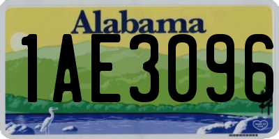 AL license plate 1AE3096