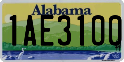 AL license plate 1AE3100