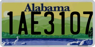 AL license plate 1AE3107