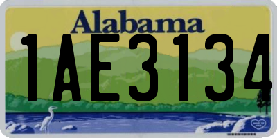 AL license plate 1AE3134