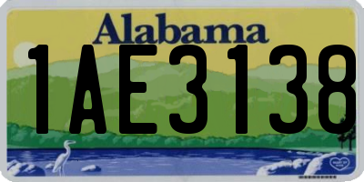 AL license plate 1AE3138