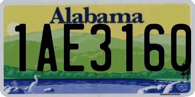 AL license plate 1AE3160