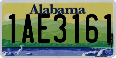 AL license plate 1AE3161