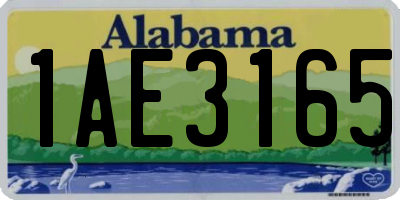 AL license plate 1AE3165
