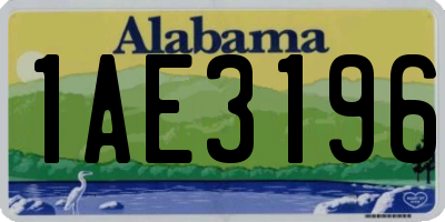 AL license plate 1AE3196