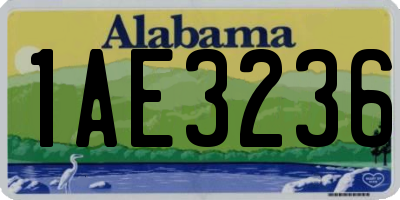 AL license plate 1AE3236