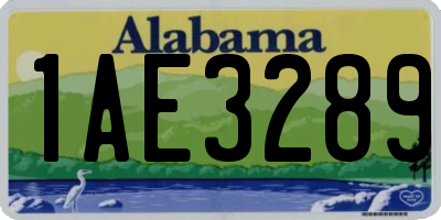 AL license plate 1AE3289