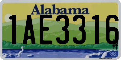 AL license plate 1AE3316