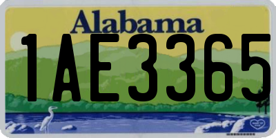 AL license plate 1AE3365